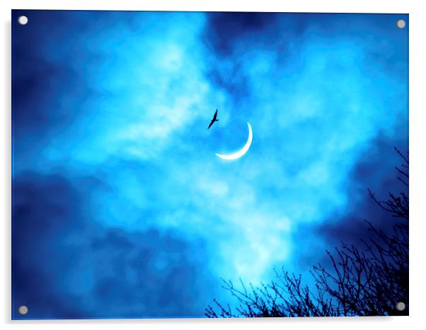  Solar Eclipse 2015 Acrylic by Simone Williams