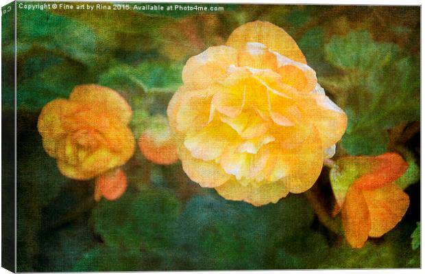  Yellow Begonia Canvas Print by Fine art by Rina