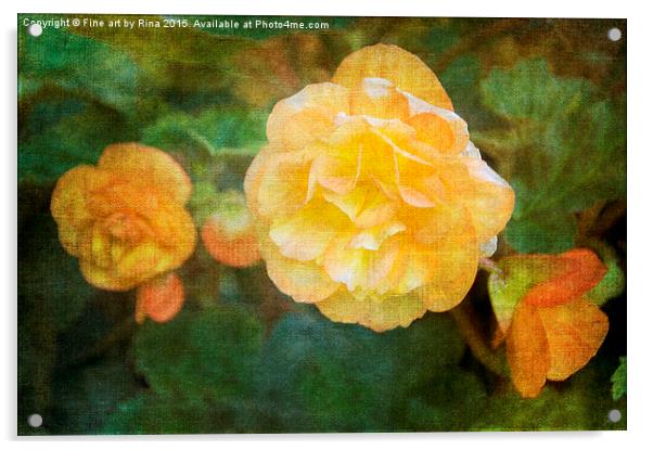  Yellow Begonia Acrylic by Fine art by Rina