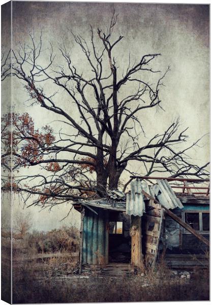  Abandoned house Canvas Print by Svetlana Sewell
