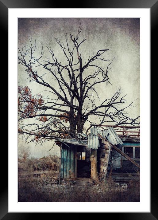  Abandoned house Framed Mounted Print by Svetlana Sewell