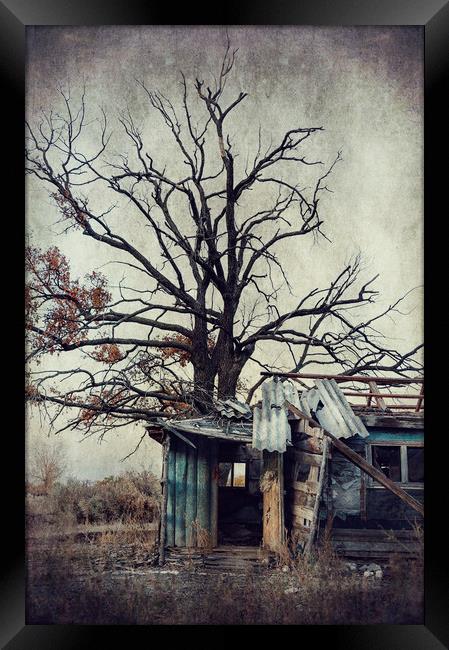  Abandoned house Framed Print by Svetlana Sewell