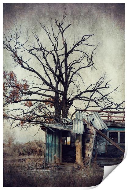  Abandoned house Print by Svetlana Sewell