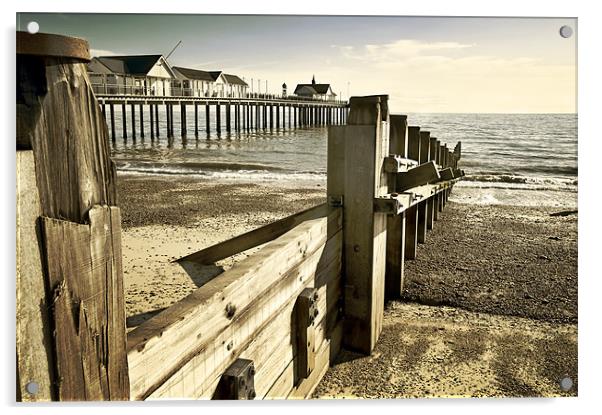 Southwold pier and Groynes Acrylic by Stephen Mole