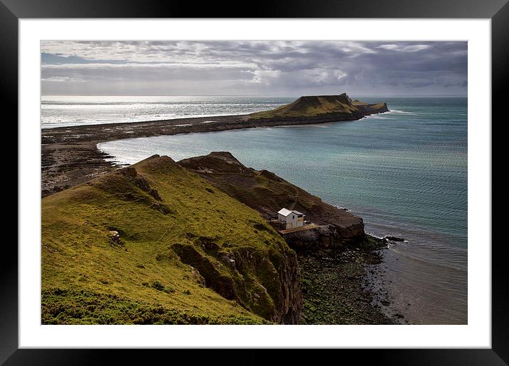  Worms head Framed Mounted Print by Rory Trappe
