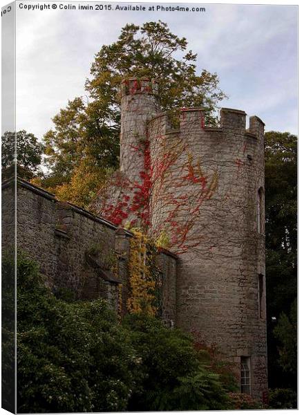  Bodelwyddan Castle Canvas Print by Colin irwin