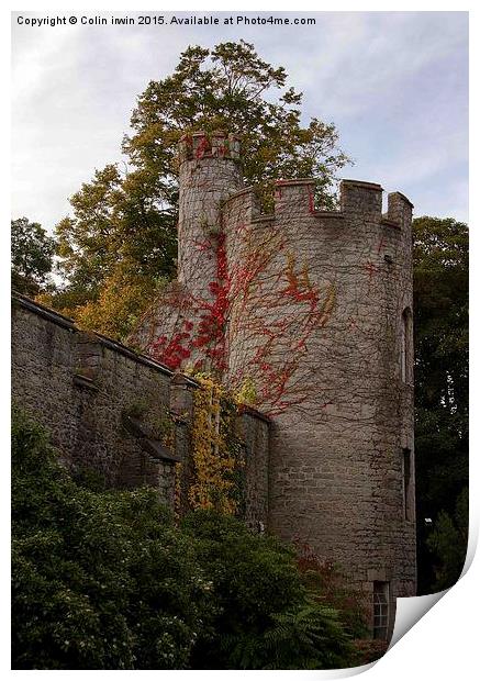  Bodelwyddan Castle Print by Colin irwin