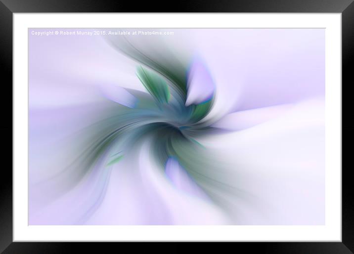  Floral Abstract Framed Mounted Print by Robert Murray