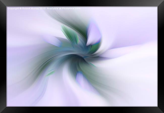  Floral Abstract Framed Print by Robert Murray