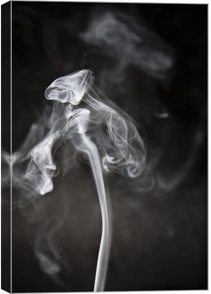 Ghostly Smoke Canvas Print by Mike Gorton