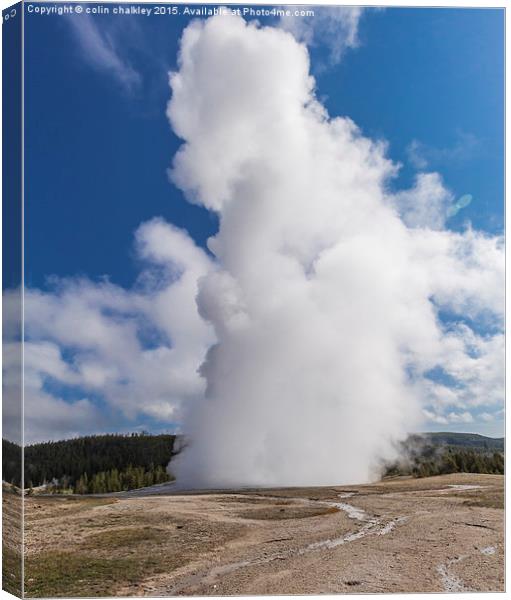 Old Faithful in Yellowstone Park Canvas Print by colin chalkley