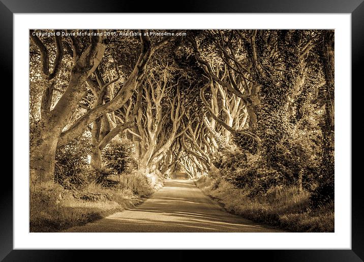  Mysterious and magical Framed Mounted Print by David McFarland