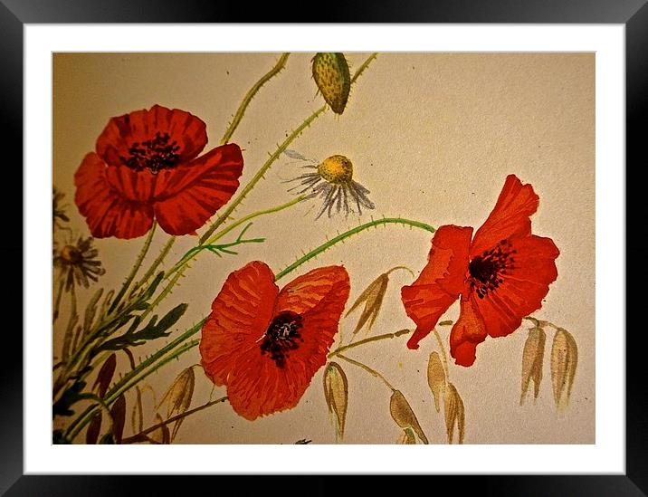  Common Red Poppy with Hare bell and Mayweed Framed Mounted Print by Sue Bottomley