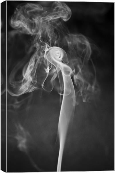 Naked Alien Candle Smoke Canvas Print by Mike Gorton