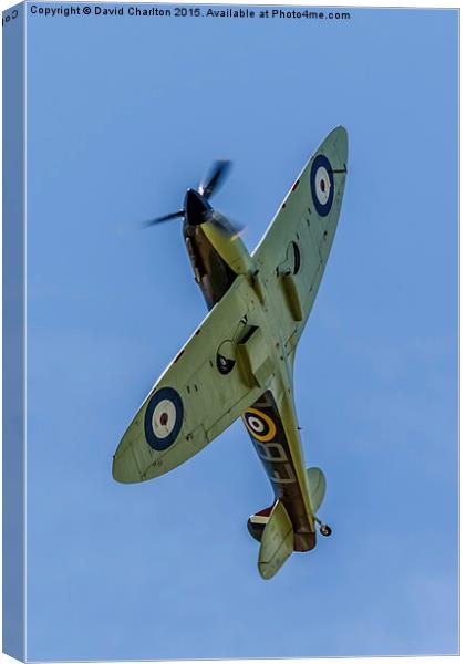  Spitfire Canvas Print by David Charlton