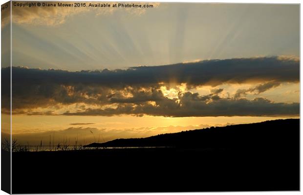 Sand Point Somerset Canvas Print by Diana Mower