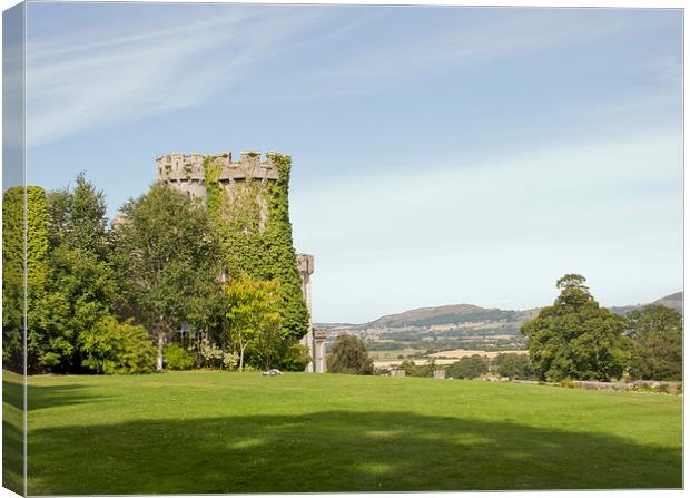  Bodelwyddan Castle, North Wales Canvas Print by Andy Heap