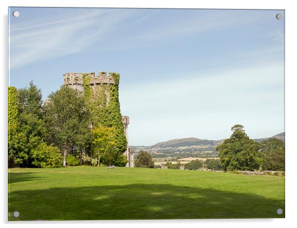  Bodelwyddan Castle, North Wales Acrylic by Andy Heap