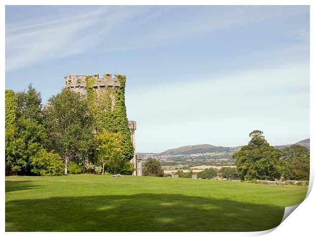  Bodelwyddan Castle, North Wales Print by Andy Heap