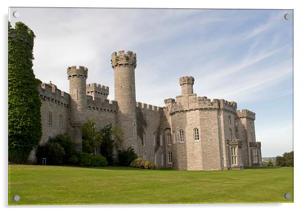 Bodelwyddan Castle, North Wales Acrylic by Andy Heap