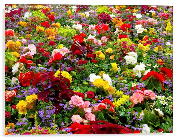 Flower Garden Acrylic by Jeanne Ong