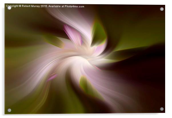  Floral Abstract 2 Acrylic by Robert Murray
