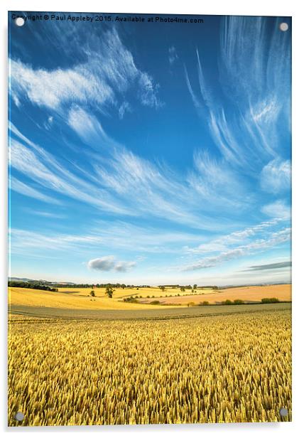   Northumberland Meets the Sky Acrylic by Paul Appleby