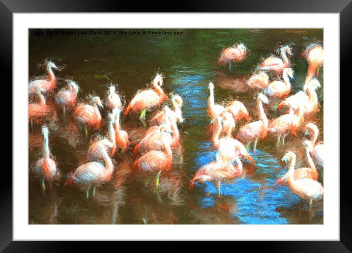  Flamingo dance Framed Mounted Print by Sharon Lisa Clarke