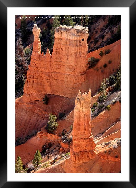  Bryce Canyon National Park, Utah, North America Framed Mounted Print by Aidan Moran