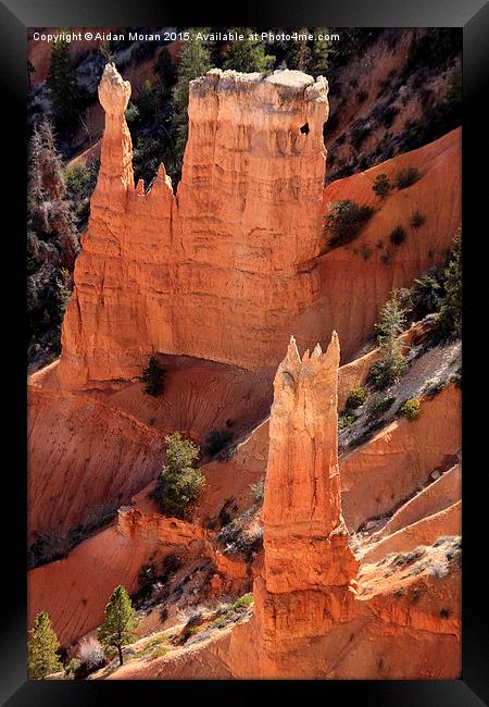  Bryce Canyon National Park, Utah, North America Framed Print by Aidan Moran