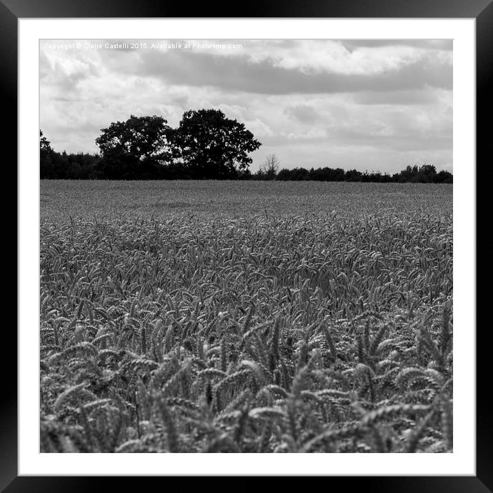  Wheat fields Framed Mounted Print by Claire Castelli