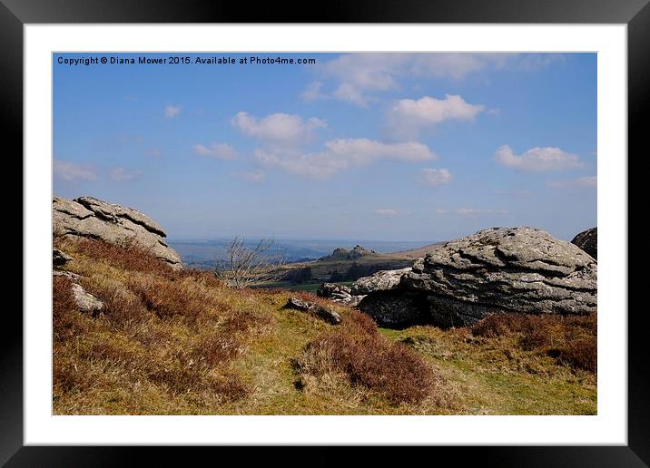  Hound Tor From Honeybag Tor Framed Mounted Print by Diana Mower