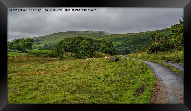   Road to Staveley in the Lake District Framed Print by Fine art by Rina