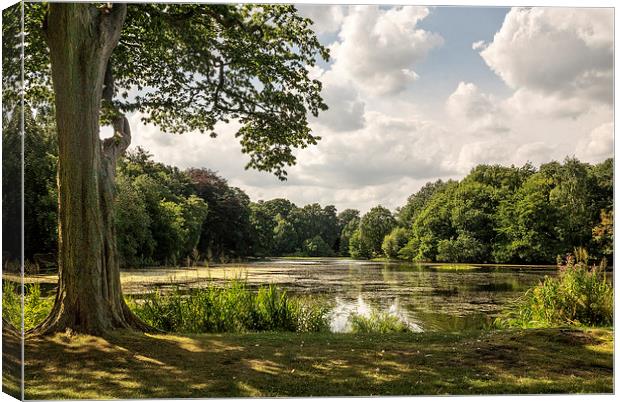  Nostell Priory Lake Canvas Print by richard downes