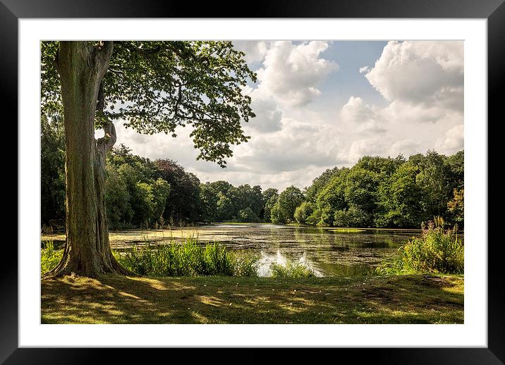  Nostell Priory Lake Framed Mounted Print by richard downes