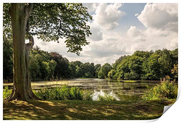  Nostell Priory Lake Print by richard downes
