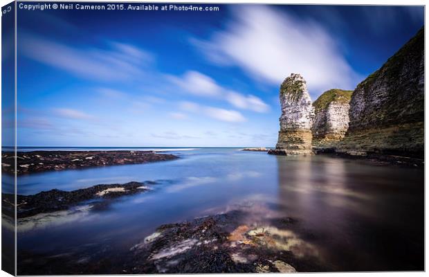 Selwick Bay Stack Canvas Print by Neil Cameron