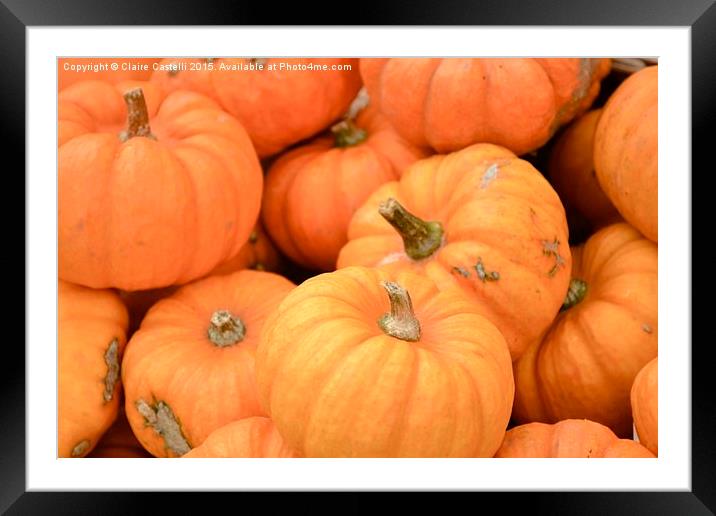  Pumpkins Framed Mounted Print by Claire Castelli