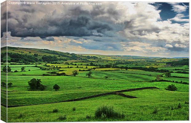  Danby Moors Canvas Print by Marie Castagnoli