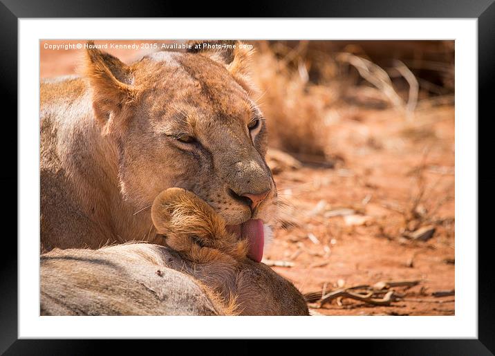 A kiss for a King Framed Mounted Print by Howard Kennedy