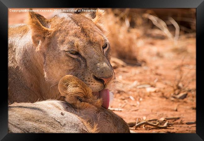 A kiss for a King Framed Print by Howard Kennedy