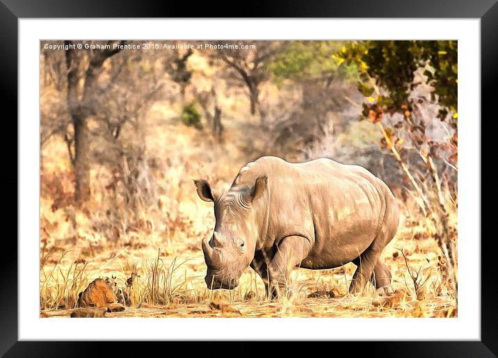 Powerful Rhino Framed Mounted Print by Graham Prentice