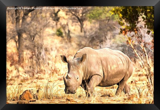 Powerful Rhino Framed Print by Graham Prentice