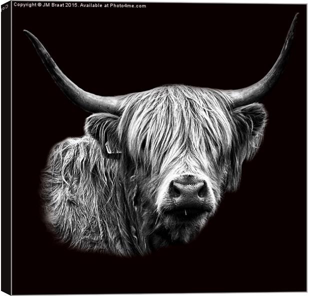 Majestic Scottish Highland Cow Canvas Print by Jane Braat