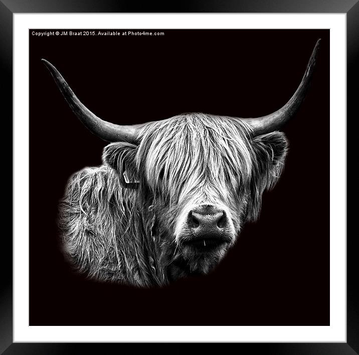 Majestic Scottish Highland Cow Framed Mounted Print by Jane Braat