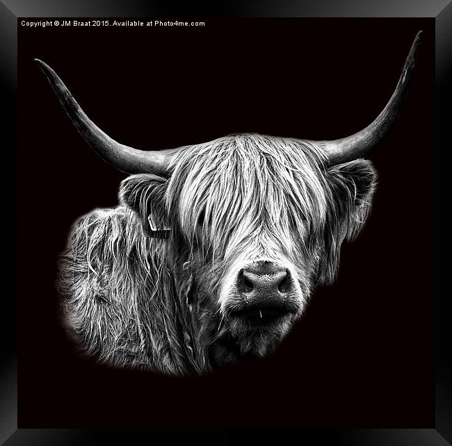 Majestic Scottish Highland Cow Framed Print by Jane Braat