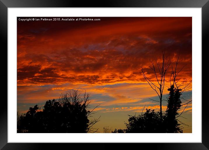  Treetop and Sunset Framed Mounted Print by Ian Pettman