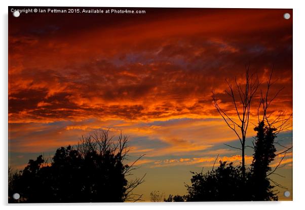 Treetop and Sunset Acrylic by Ian Pettman