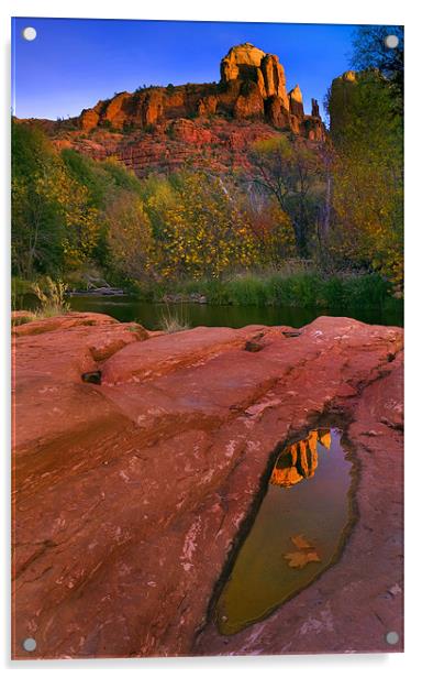Red Rock Reflection Acrylic by Mike Dawson