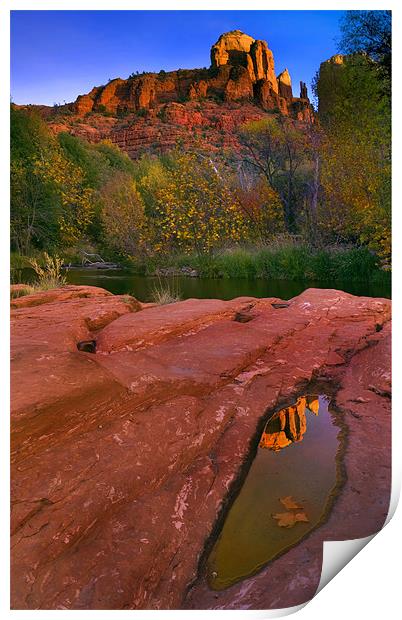 Red Rock Reflection Print by Mike Dawson